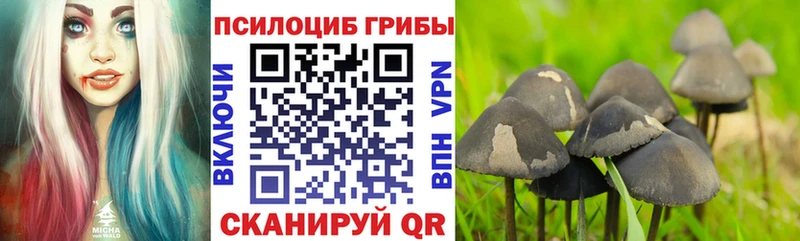 Псилоцибиновые грибы Magic Shrooms  Купить  Кстово 
